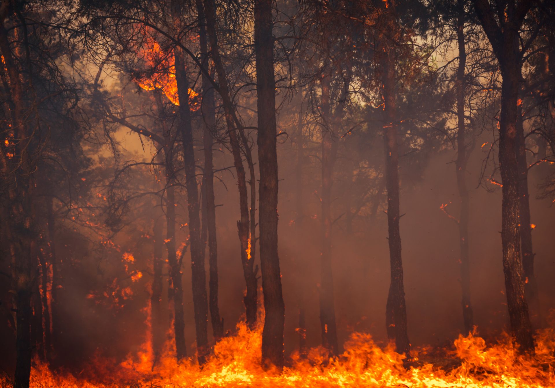 Marshall wildfireColorado wildfires Case Criteria